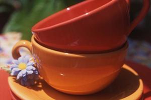 英会話教師求人情報ならここがよい