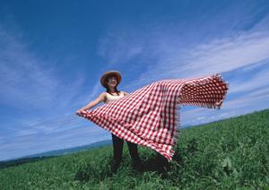 生活機能にもこだわったダイニングテーブル
