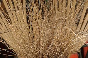 サイズが大きなポスター印刷で多い失敗