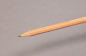 馬券の買い方を知ることができます