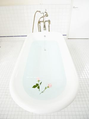 低価格で品質の良いパンフレット印刷