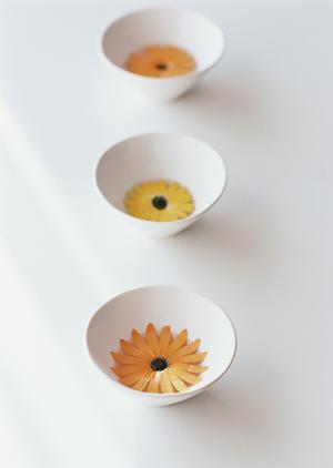 クオリティの高い会員証を作りたい人は